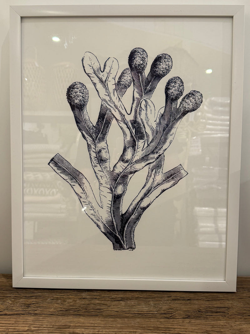 Haven & Space Berry CANVAS 40x50CM Porto Framed Print