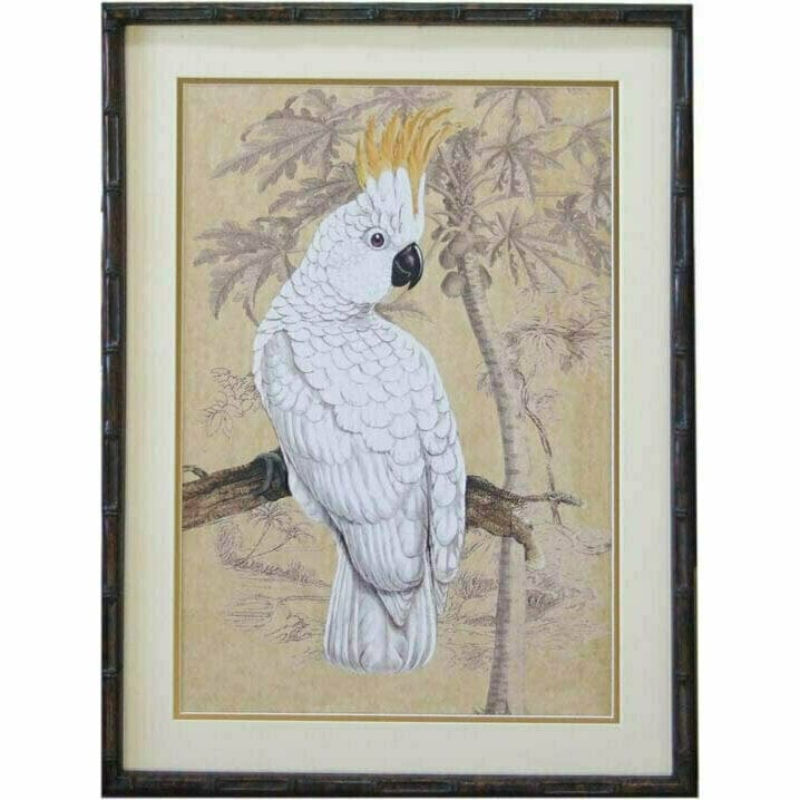 Haven & Space Berry CANVAS 53cmx43.5cmx3cm Cockatoo Series 2