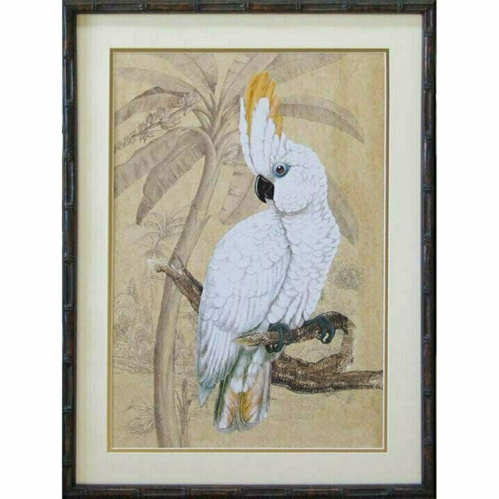 Haven & Space Berry CANVAS Cockatoo Series 1