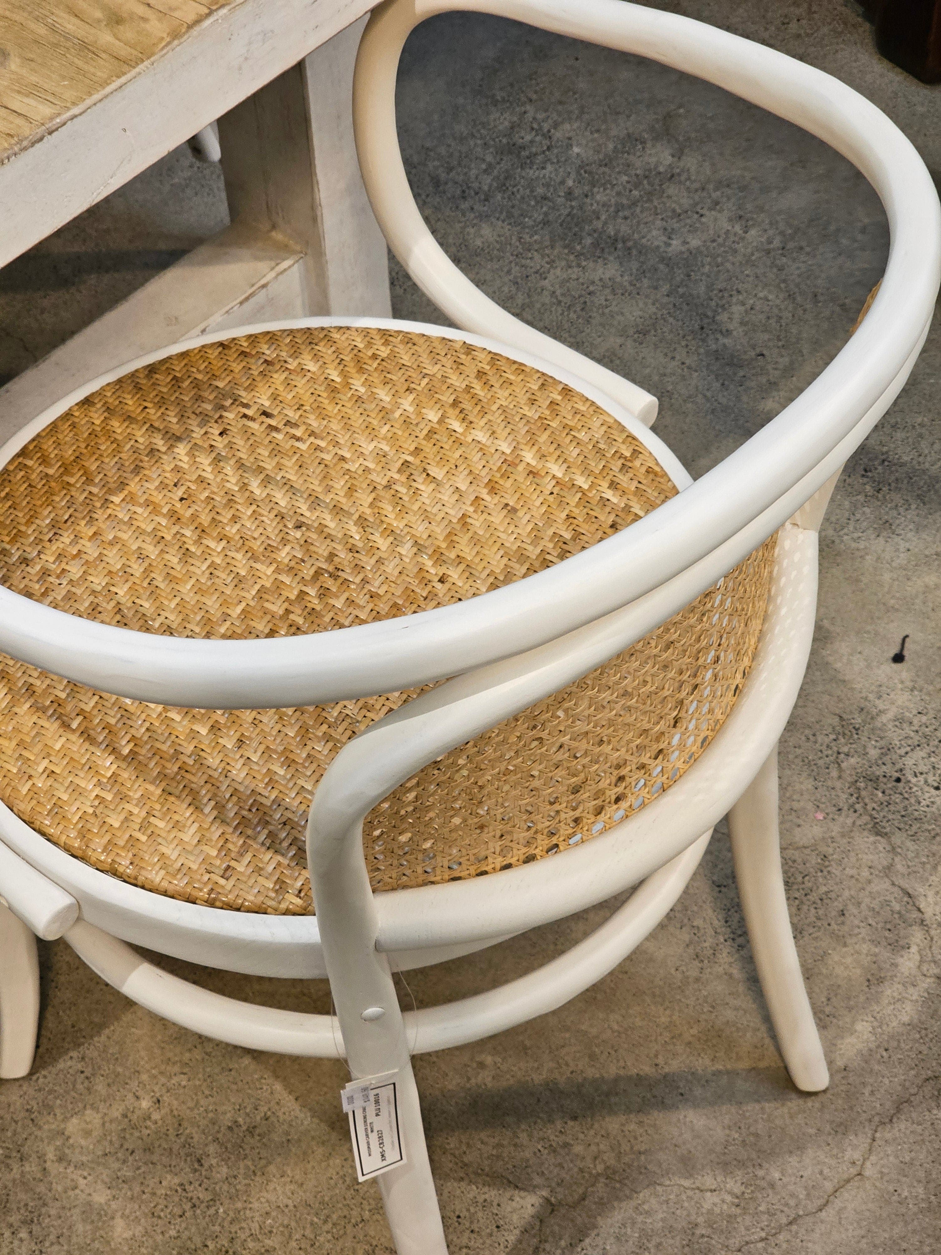 Haven & Space Berry CHAIRS Mosman Bentwood Rattan Carver Dining Chair