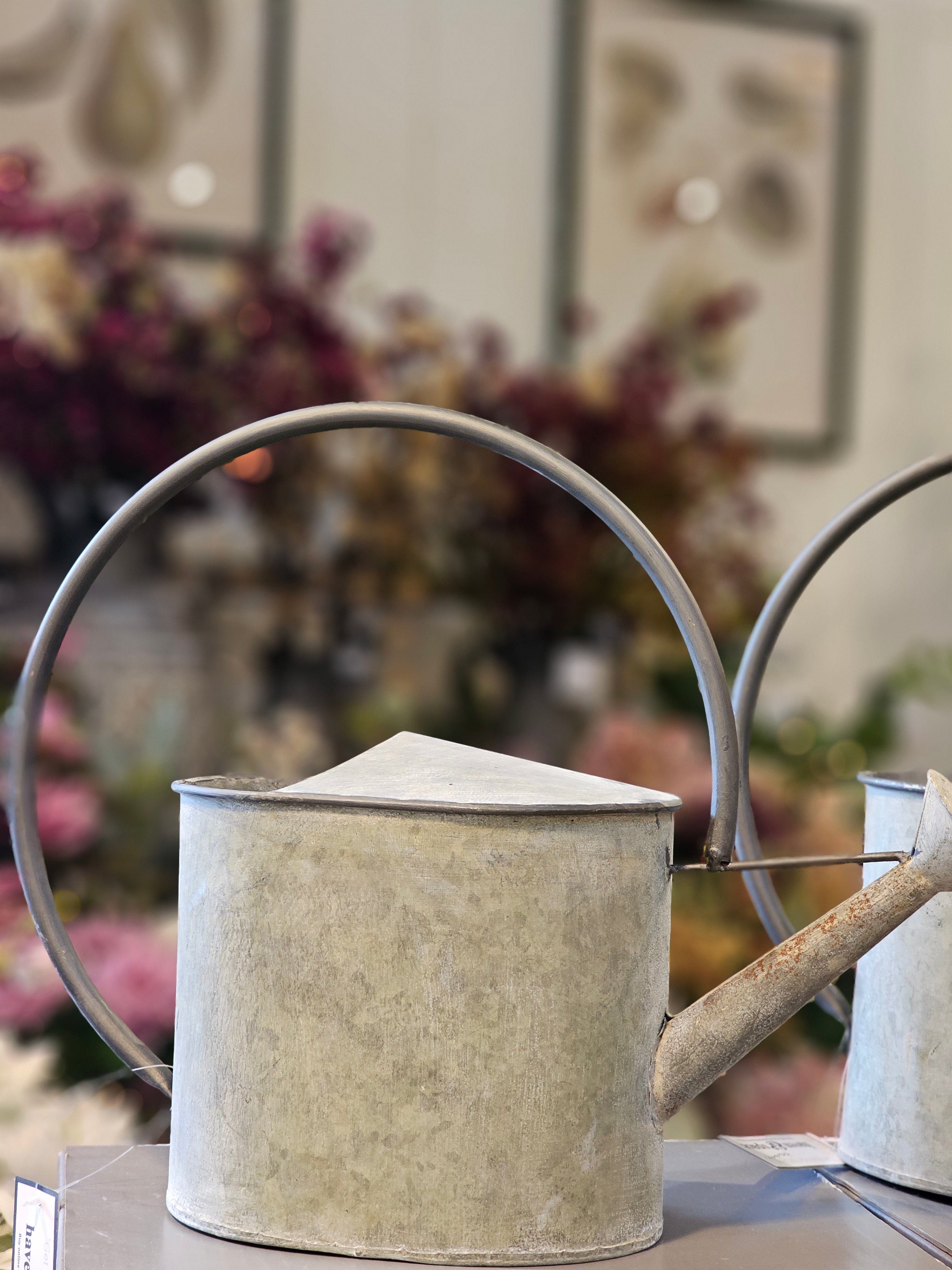 Haven & Space Berry GAL/TINWARE Jaspers Decorative Watering Tin