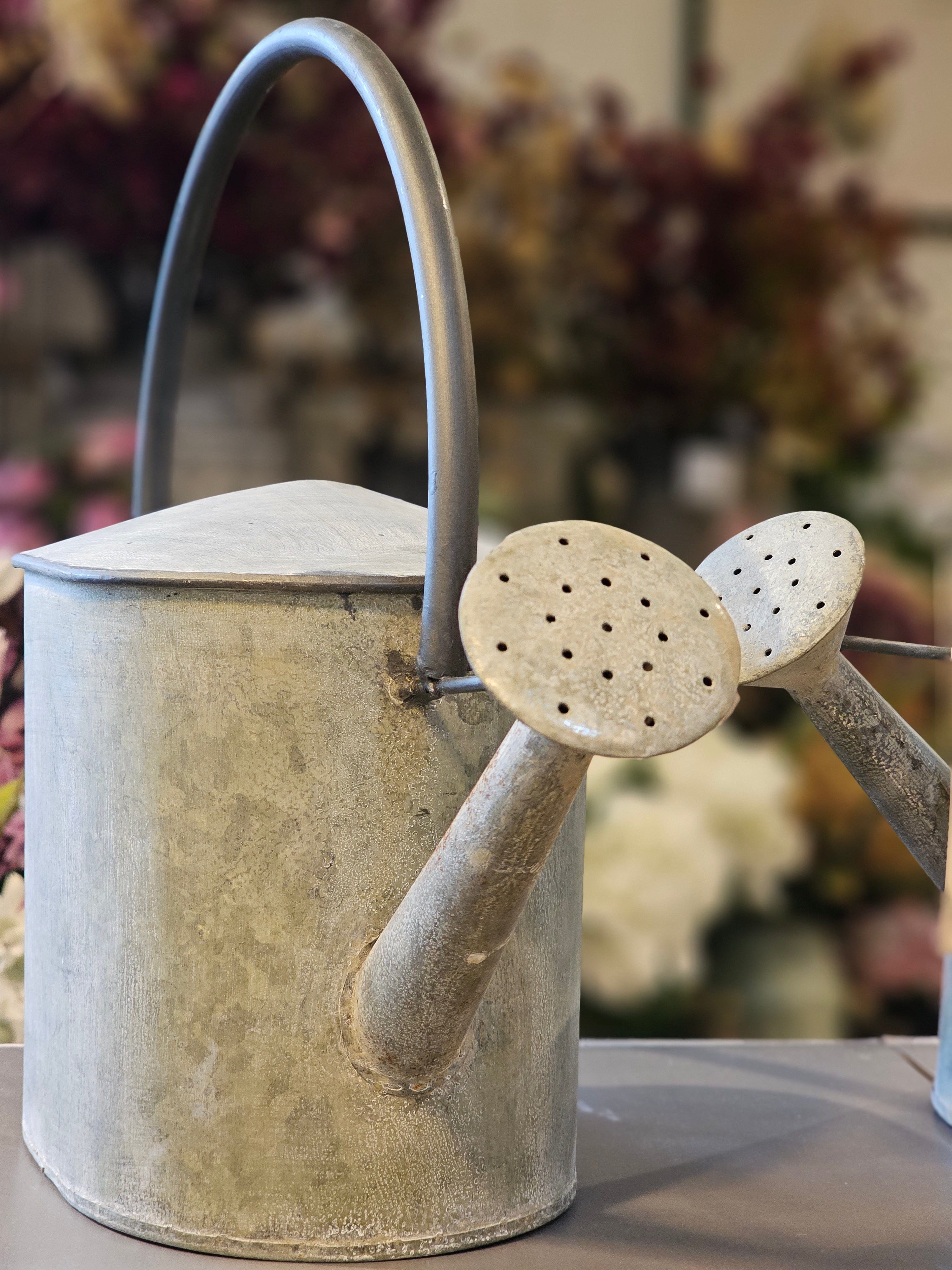 Haven & Space Berry GAL/TINWARE Jaspers Decorative Watering Tin