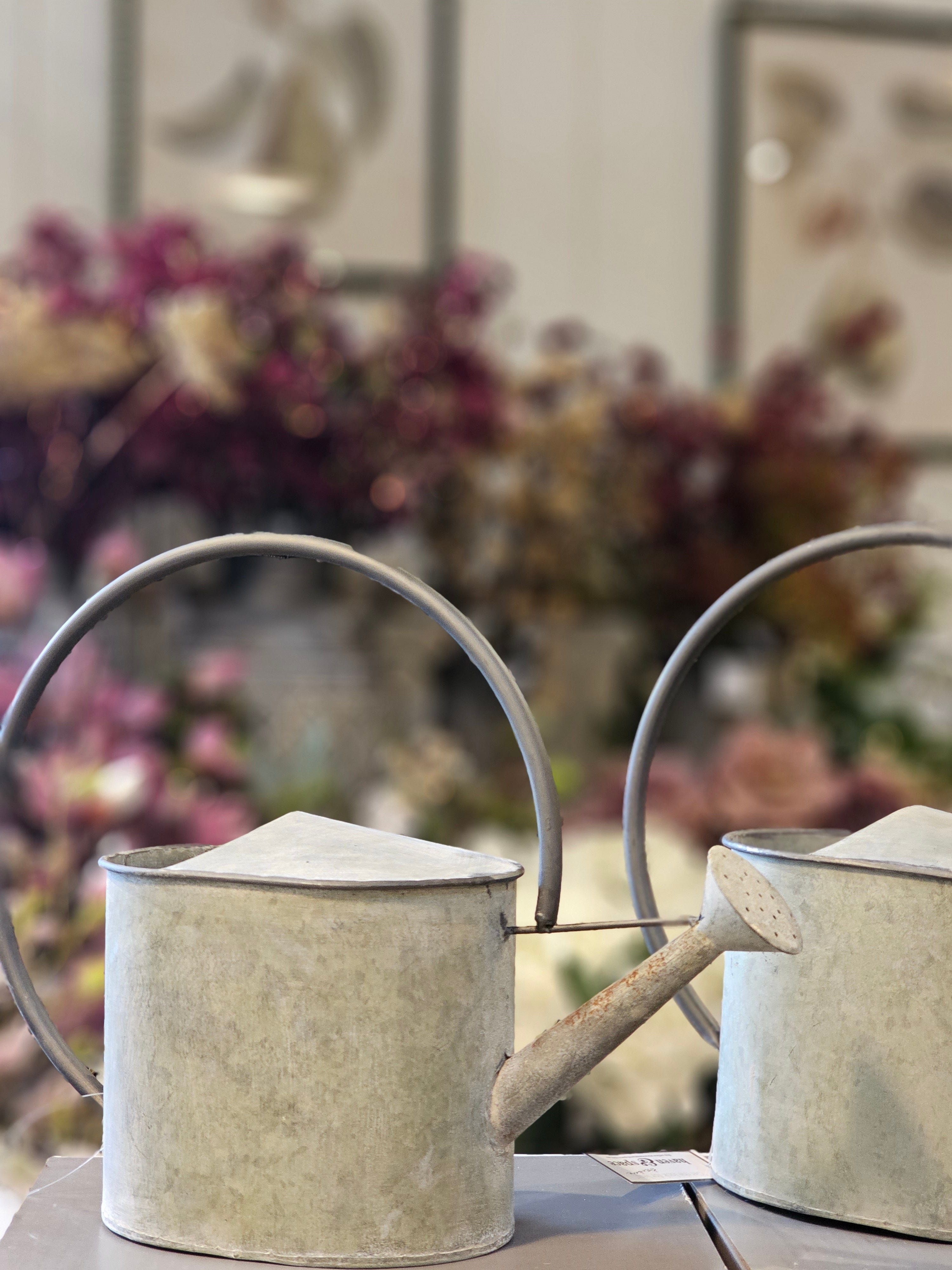 Haven & Space Berry GAL/TINWARE Jaspers Decorative Watering Tin