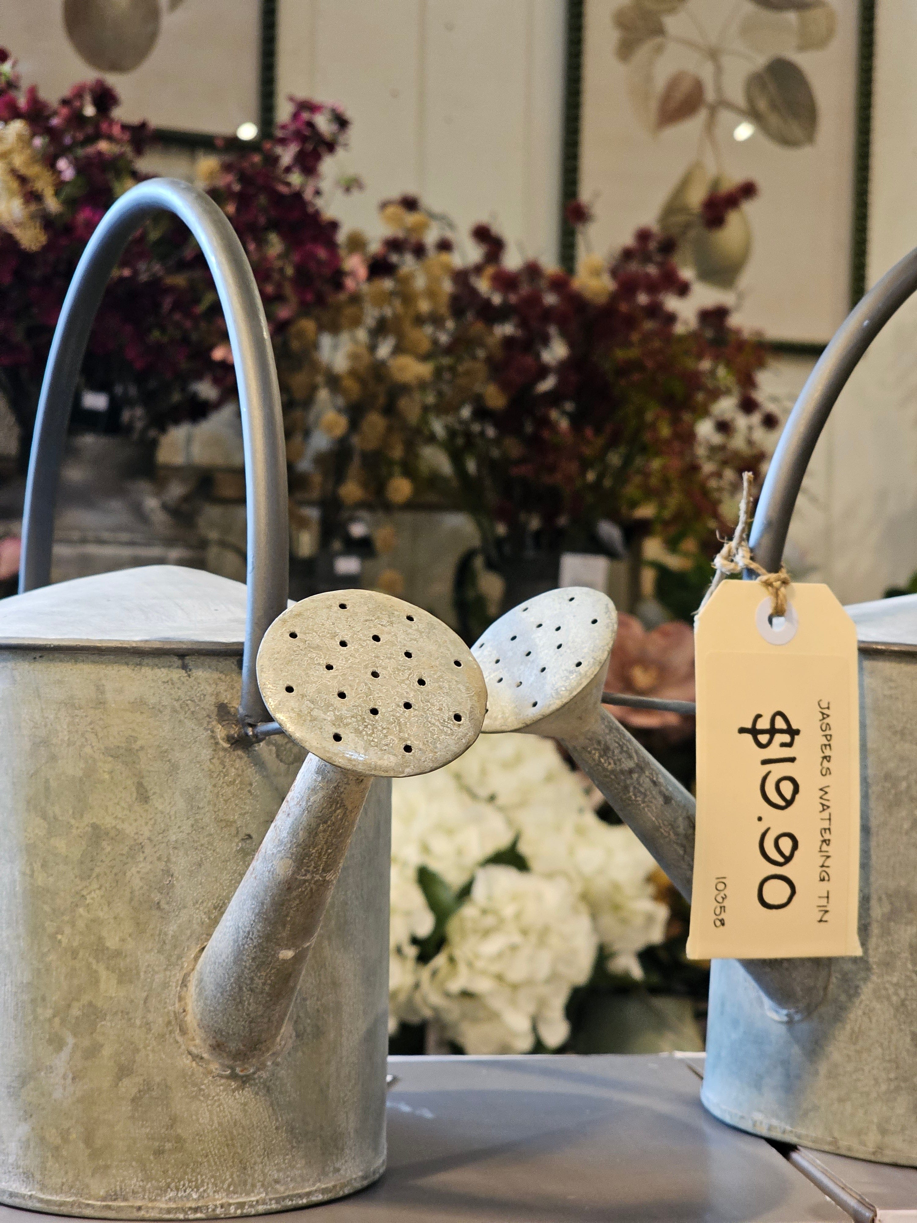 Haven & Space Berry GAL/TINWARE Jaspers Decorative Watering Tin