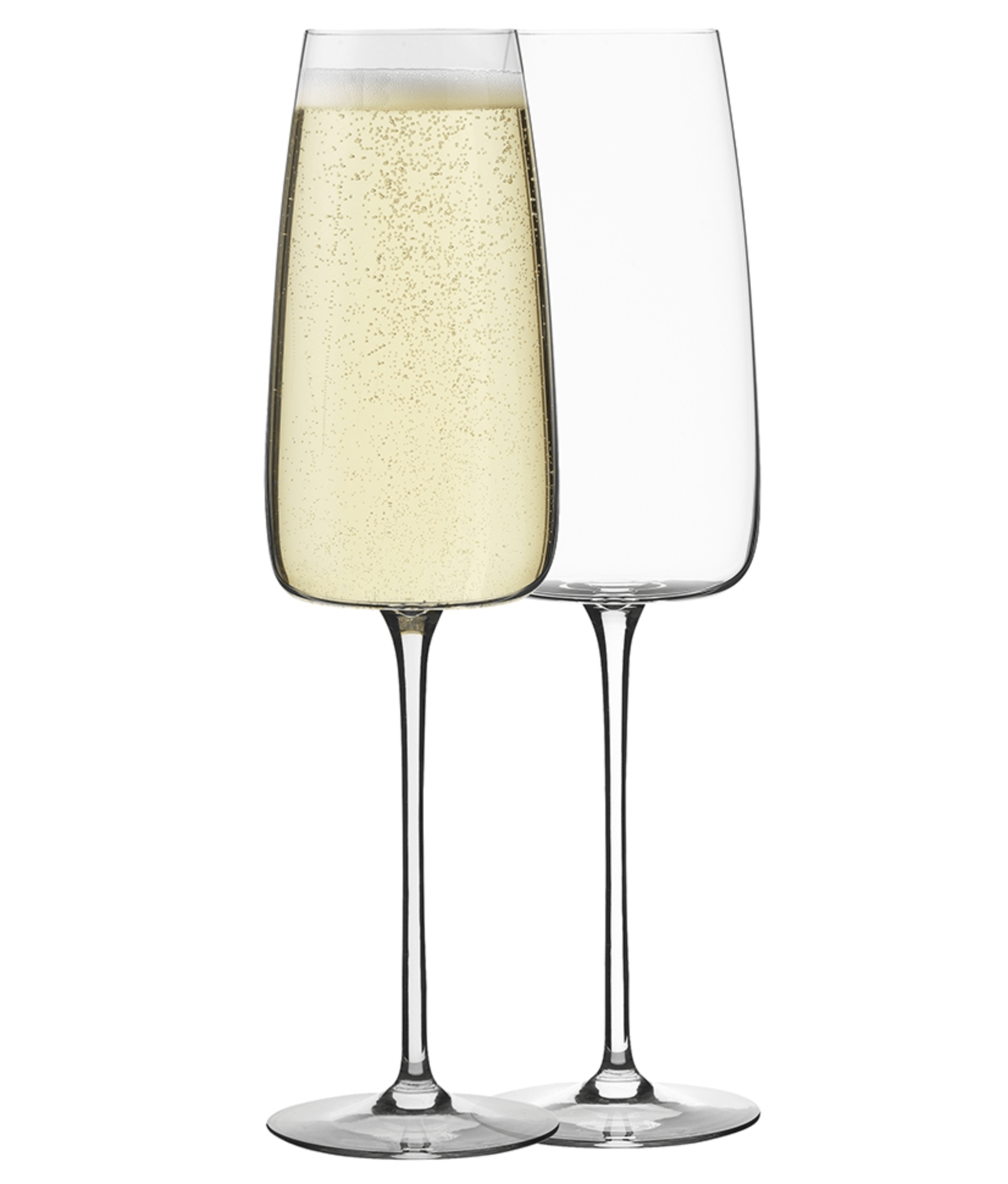 Haven & Space Berry GLASSWARE 300ml / Glass Epicure Champagne Glass S/6