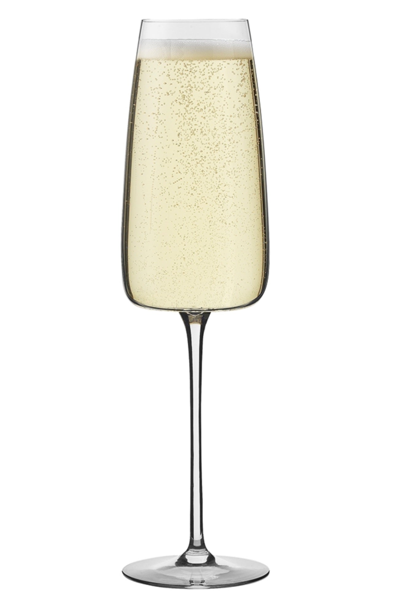 Haven & Space Berry GLASSWARE 300ml / Glass Epicure Champagne Glass S/6