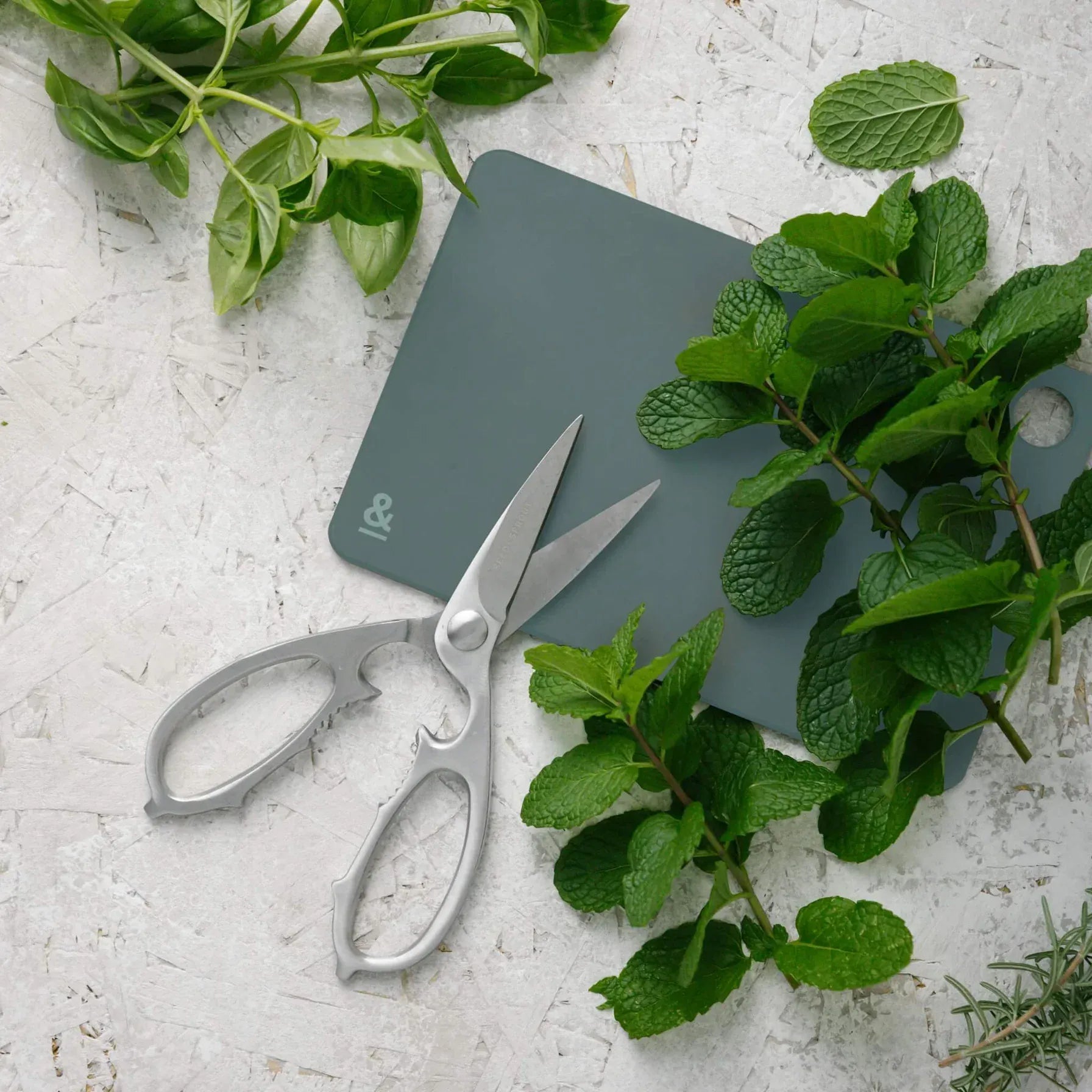 Haven & Space Berry KITCHEN Eucalyptus Mini Chopping Board | Set of 2