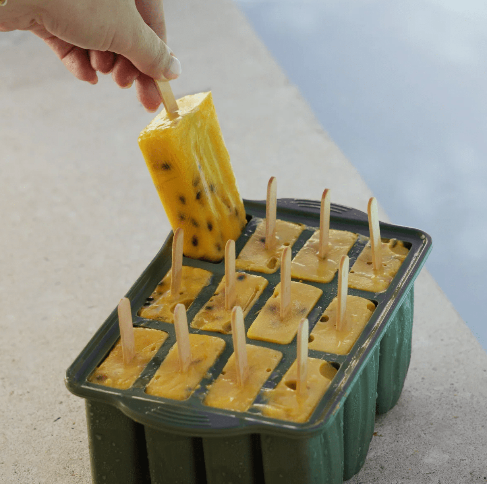 Haven & Space Berry KITCHEN Icy Pole Mould