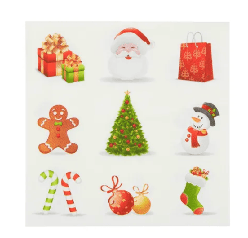 Haven & Space Berry PAPER NAPKINS 20PK / Multi Christmas Napkin 3ply