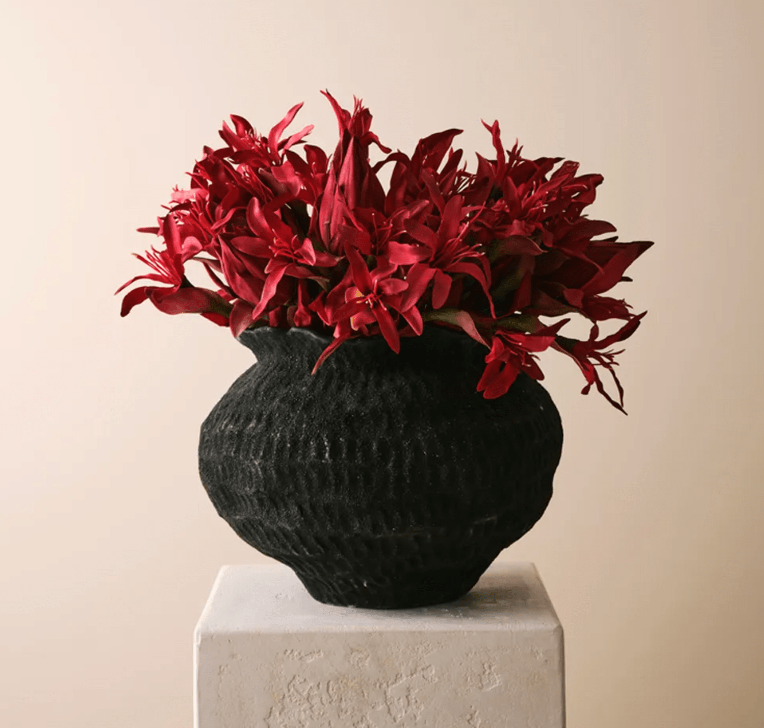 Haven & Space Berry VASES Anthracite Pot Lexi