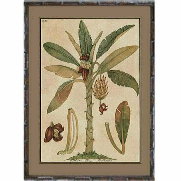 Haven & Space Berry WALL DECOR 53cmx43.5cmx3cm Palm Series 2 Banana Palm