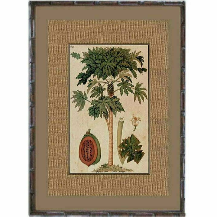 Haven & Space Berry WALL DECOR 92cm Dark Rattan Paw Paw
