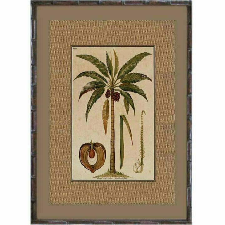 Haven & Space Berry WALL DECOR 92cm Rattan Palm Series 4 Cocoa Nut