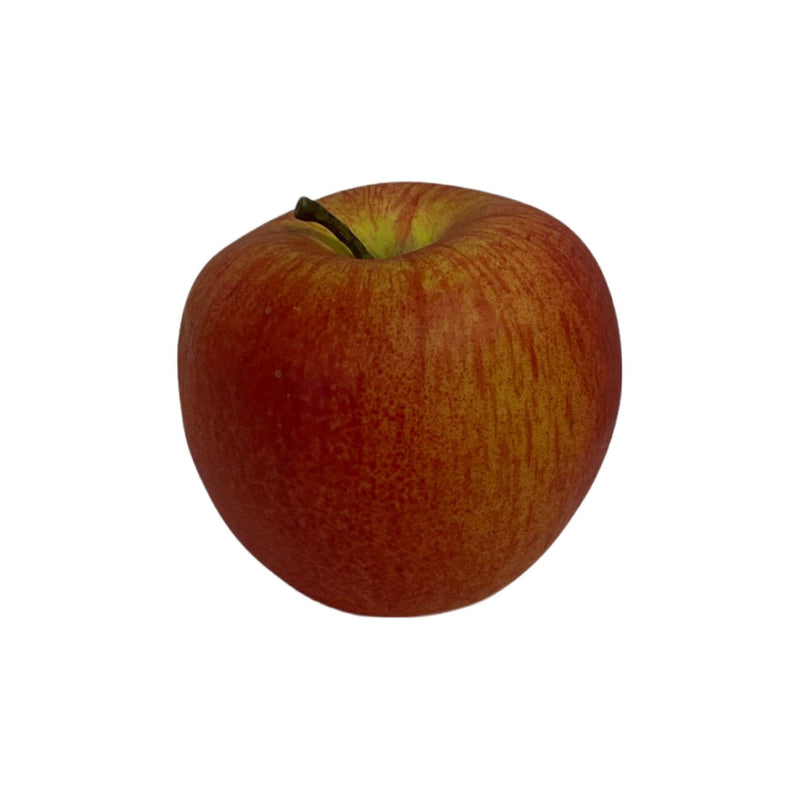 Haven and Space Berry Artificial Plants and Fruit Apple