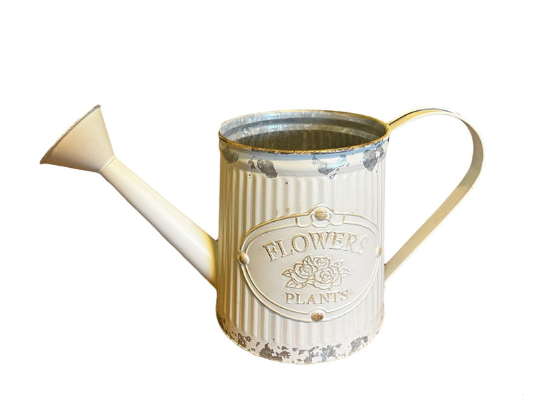 Haven & Space Berry Gal Tin Watering Can