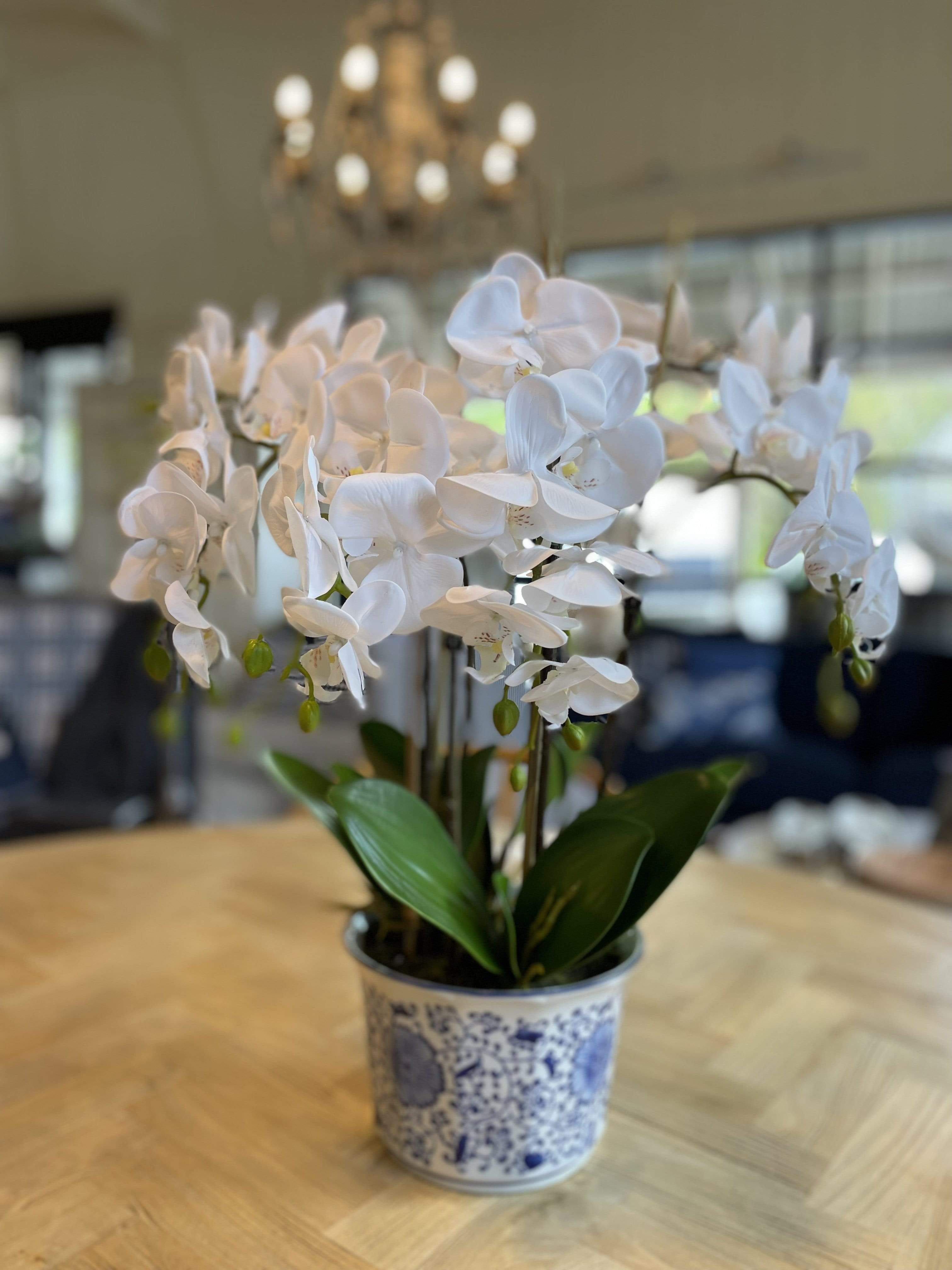 Haven & Space Berry Orchid in Dynast Pot