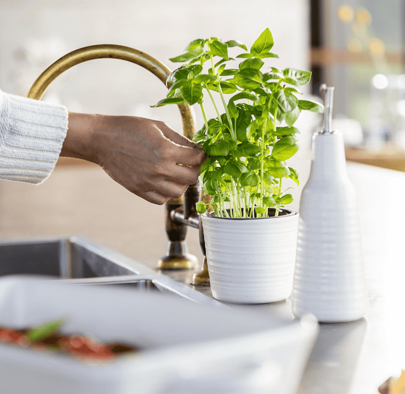 Haven & Space Berry Ottawa Oil Bottle