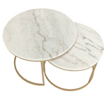 Warren Coffee Table Set of 2