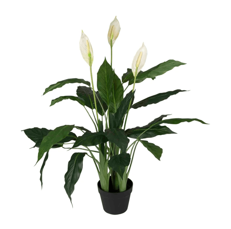 Haven & Space Berry ARTIFICAL FLOWERS 100CM / White Spathiphyllum In Stone Pot