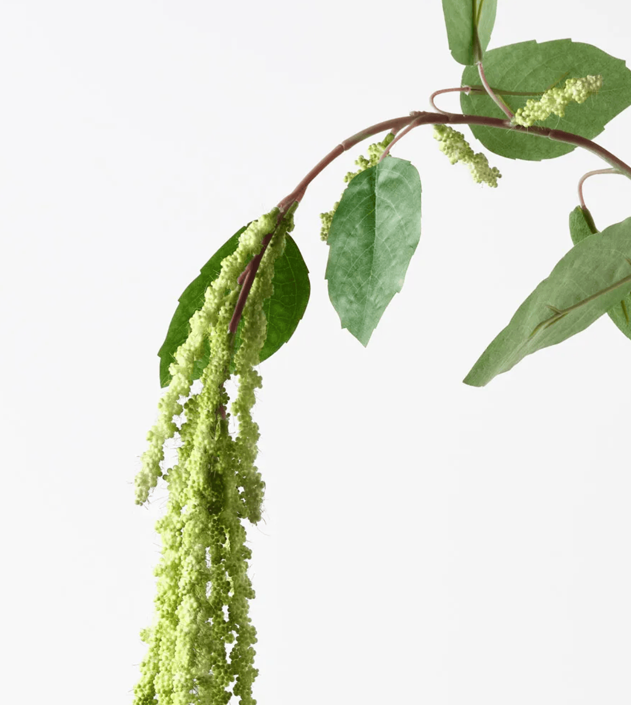 Haven & Space Berry ARTIFICAL FLOWERS 170cm / Green Amaranthus Spray