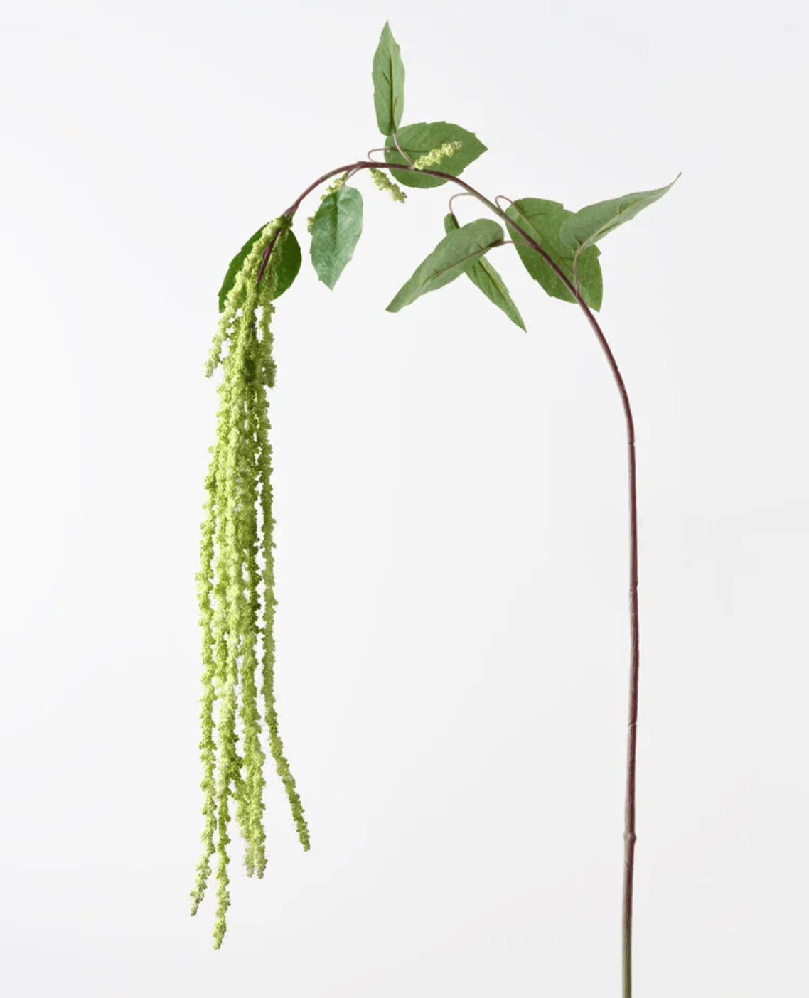 Haven & Space Berry ARTIFICAL FLOWERS 170cm / Green Amaranthus Spray