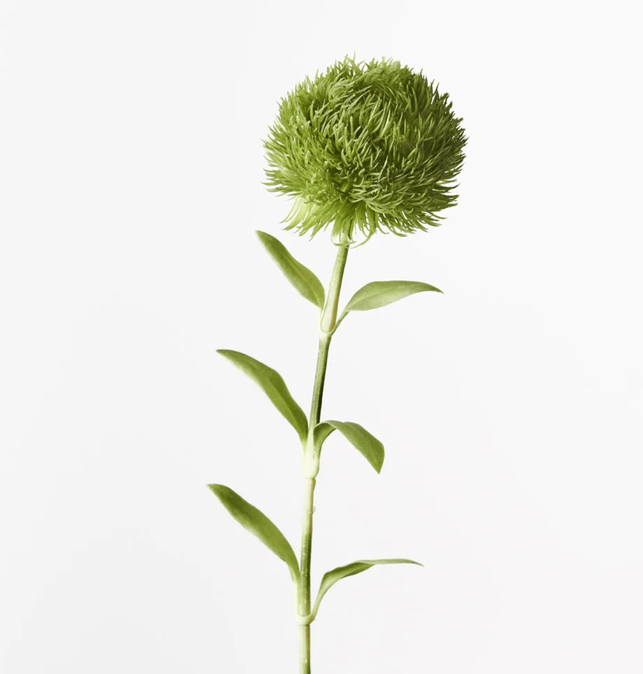 Haven & Space Berry ARTIFICAL FLOWERS 50cm / Green Dianthus