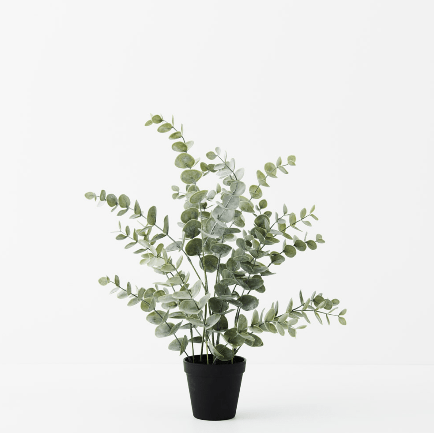 Haven & Space Berry ARTIFICAL FLOWERS 53CM / Green Potted Eucalyptus