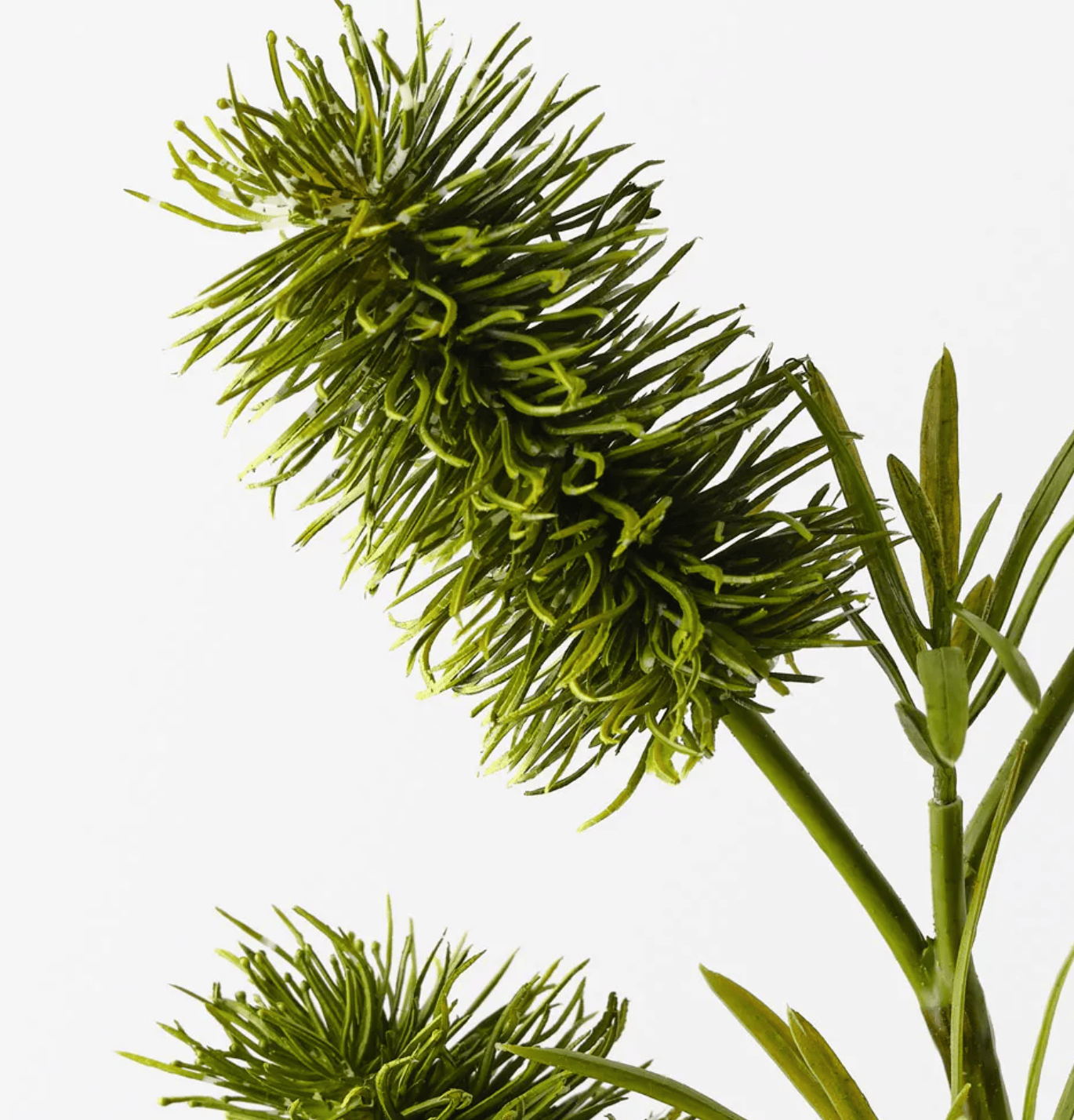Haven & Space Berry ARTIFICAL FLOWERS 58cm Bottlebrush Spray