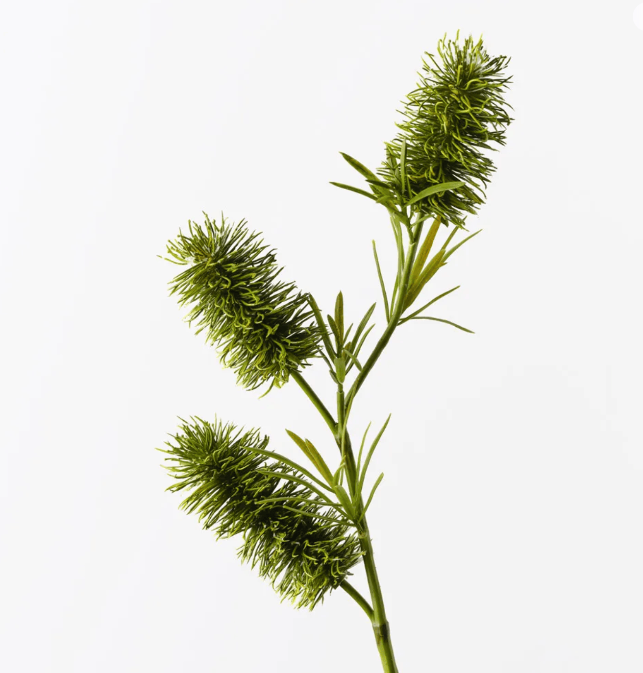 Haven & Space Berry ARTIFICAL FLOWERS 58cm Bottlebrush Spray