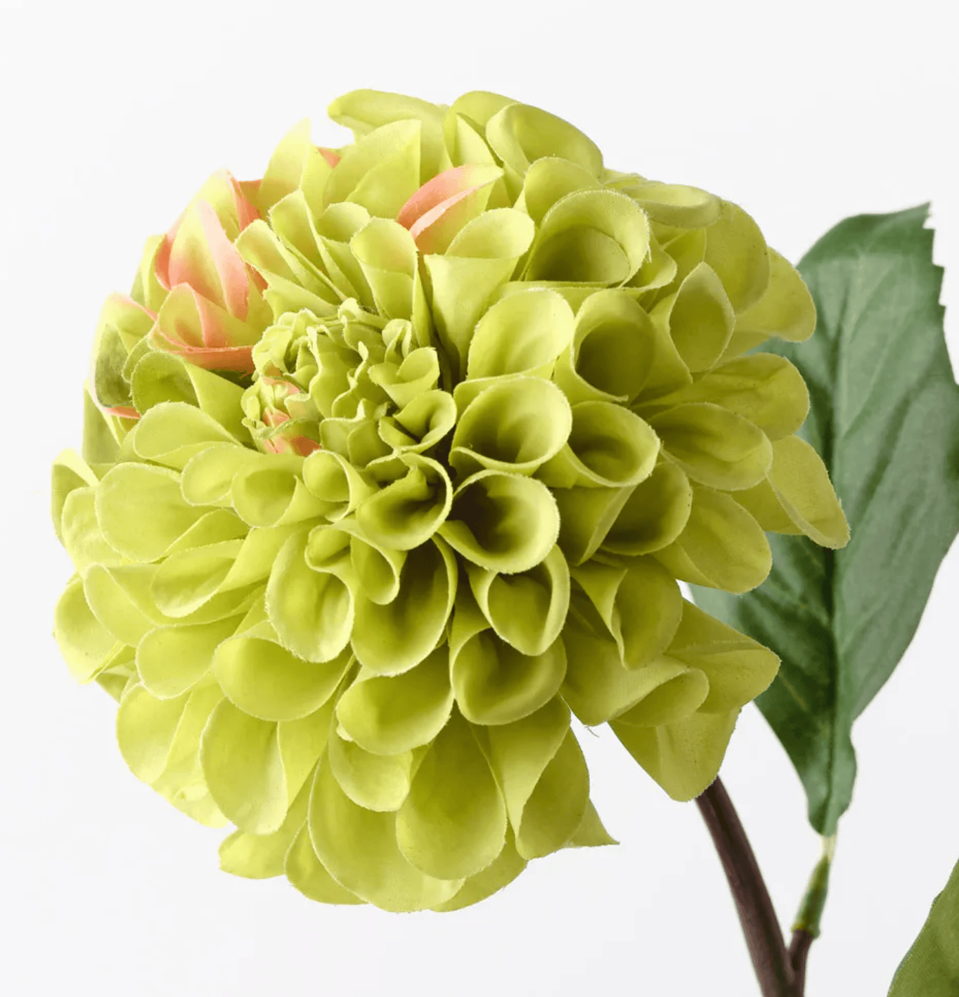 Haven & Space Berry ARTIFICAL FLOWERS 58cm Dahlia Pompon