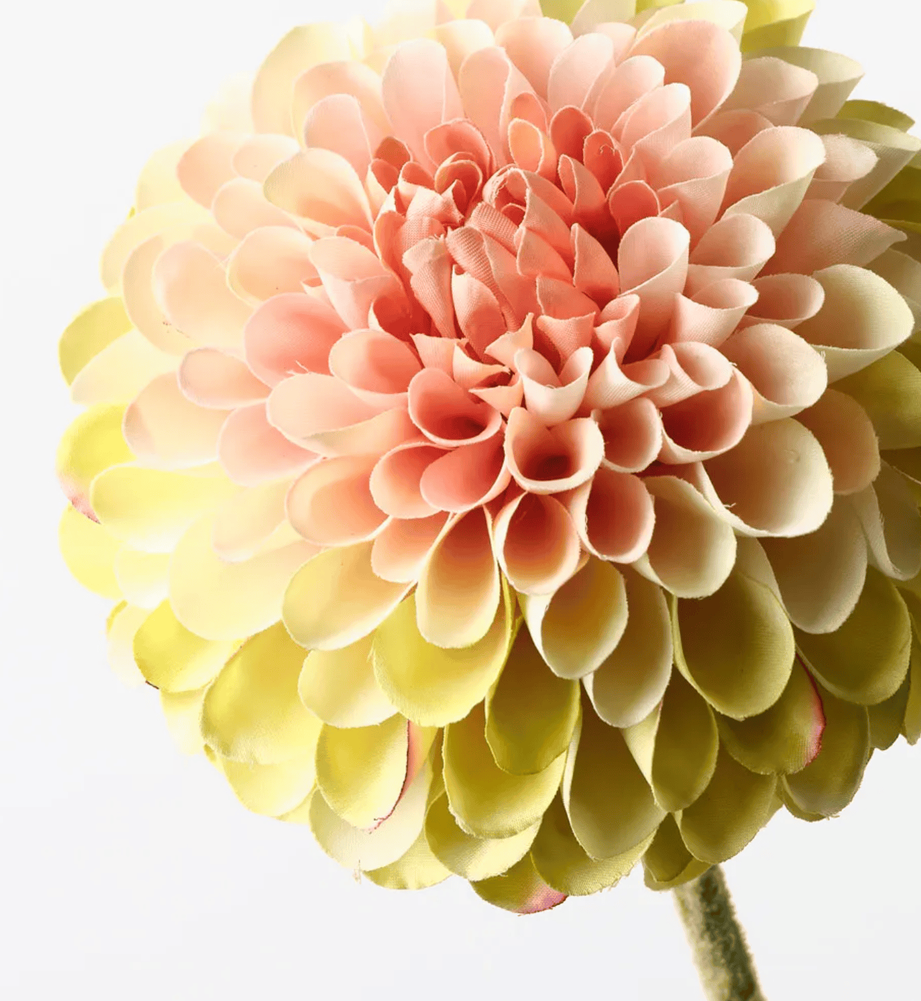 Haven & Space Berry ARTIFICAL FLOWERS 61cml Dahlia