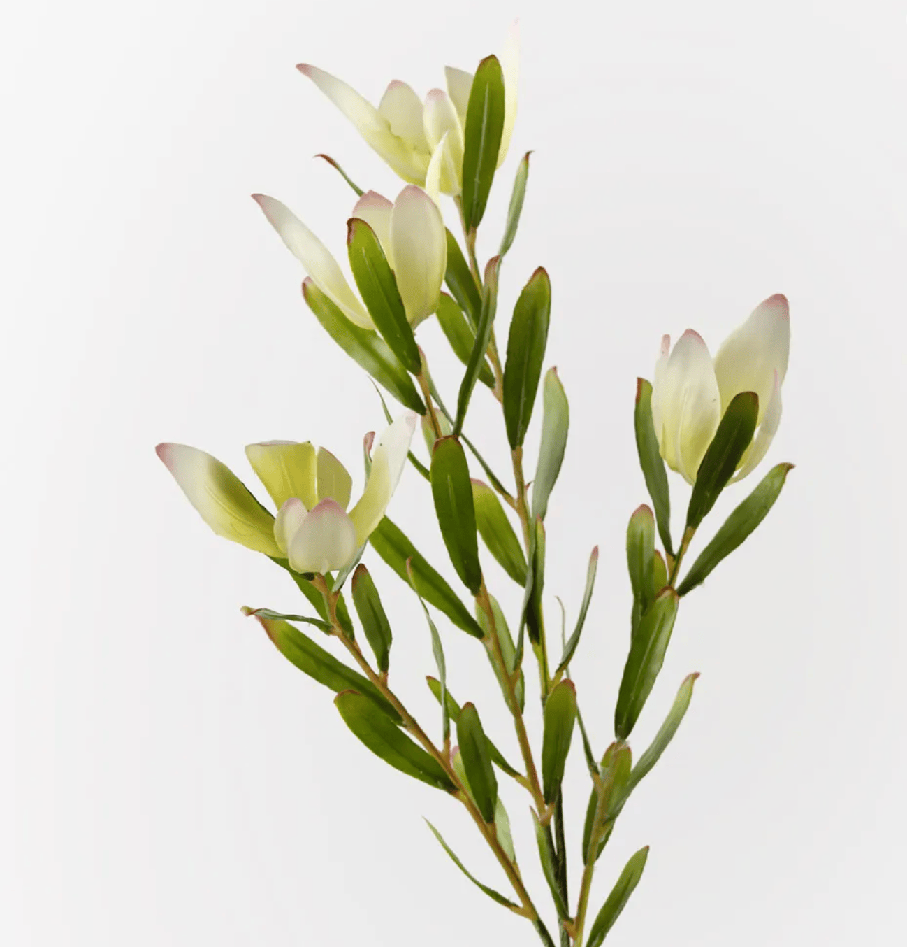 Haven & Space Berry ARTIFICAL FLOWERS 61cml Protea Leucadendron Spray