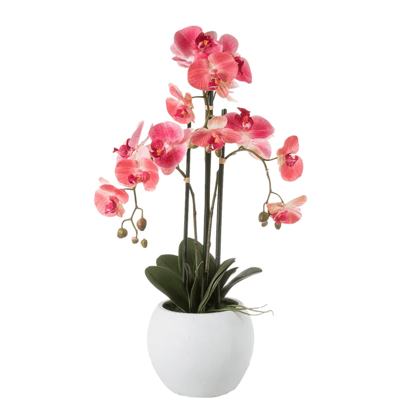 Haven & Space Berry ARTIFICAL FLOWERS 65CM / Pink Orchid In White Stone Pot