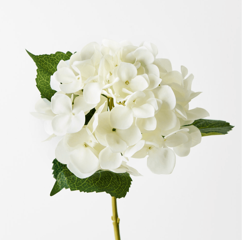 Haven & Space Berry ARTIFICAL FLOWERS 65CM / White Hydrangea