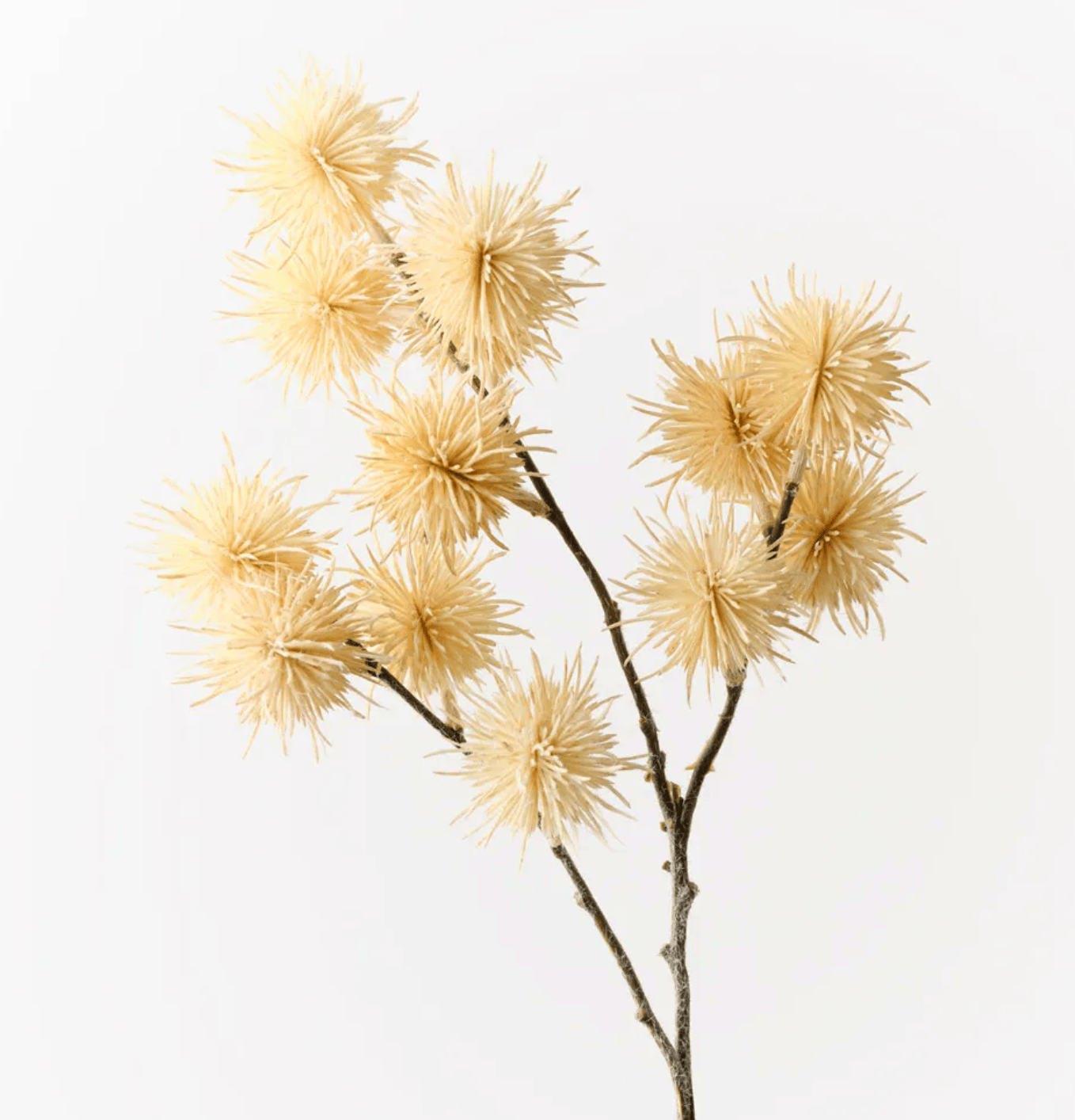 Haven & Space Berry ARTIFICAL FLOWERS 66cm Thistle Globe Spray