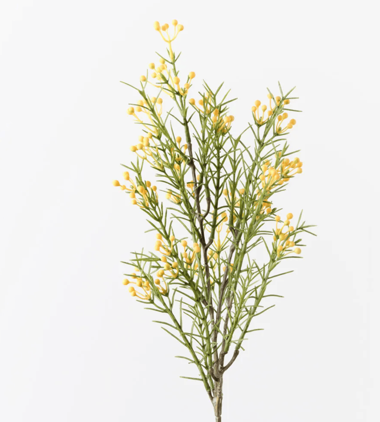 Haven & Space Berry ARTIFICAL FLOWERS 66cm / Yellow Wax Flower Bud Spray
