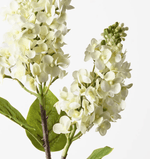 Haven & Space Berry ARTIFICAL FLOWERS 67cm / Cream Lilac Spray