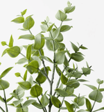 Haven & Space Berry ARTIFICAL FLOWERS 70cm / Green Eucalyptus Spray