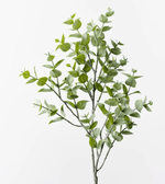 Haven & Space Berry ARTIFICAL FLOWERS 70cm / Green Eucalyptus Spray