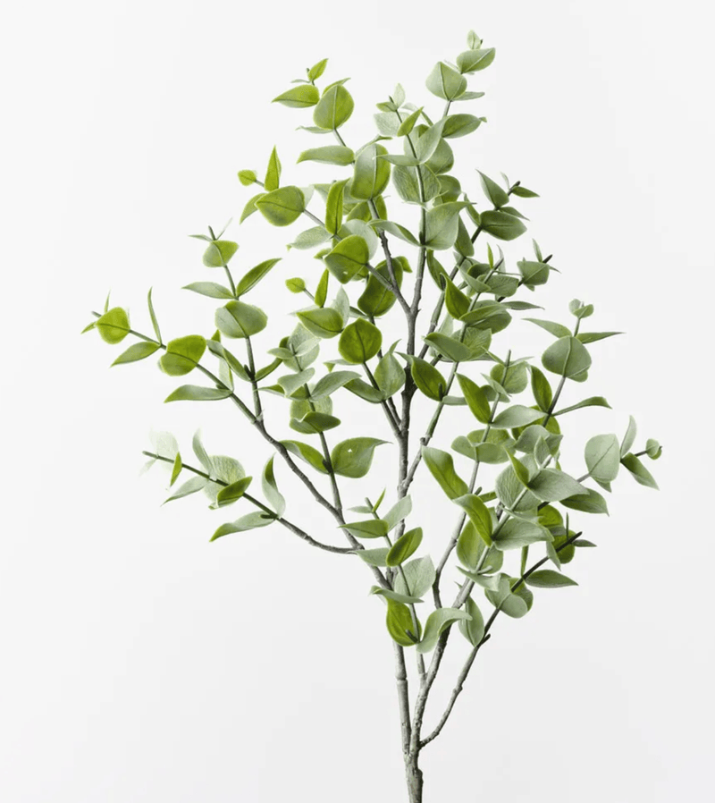 Haven & Space Berry ARTIFICAL FLOWERS 70cm / Green Eucalyptus Spray