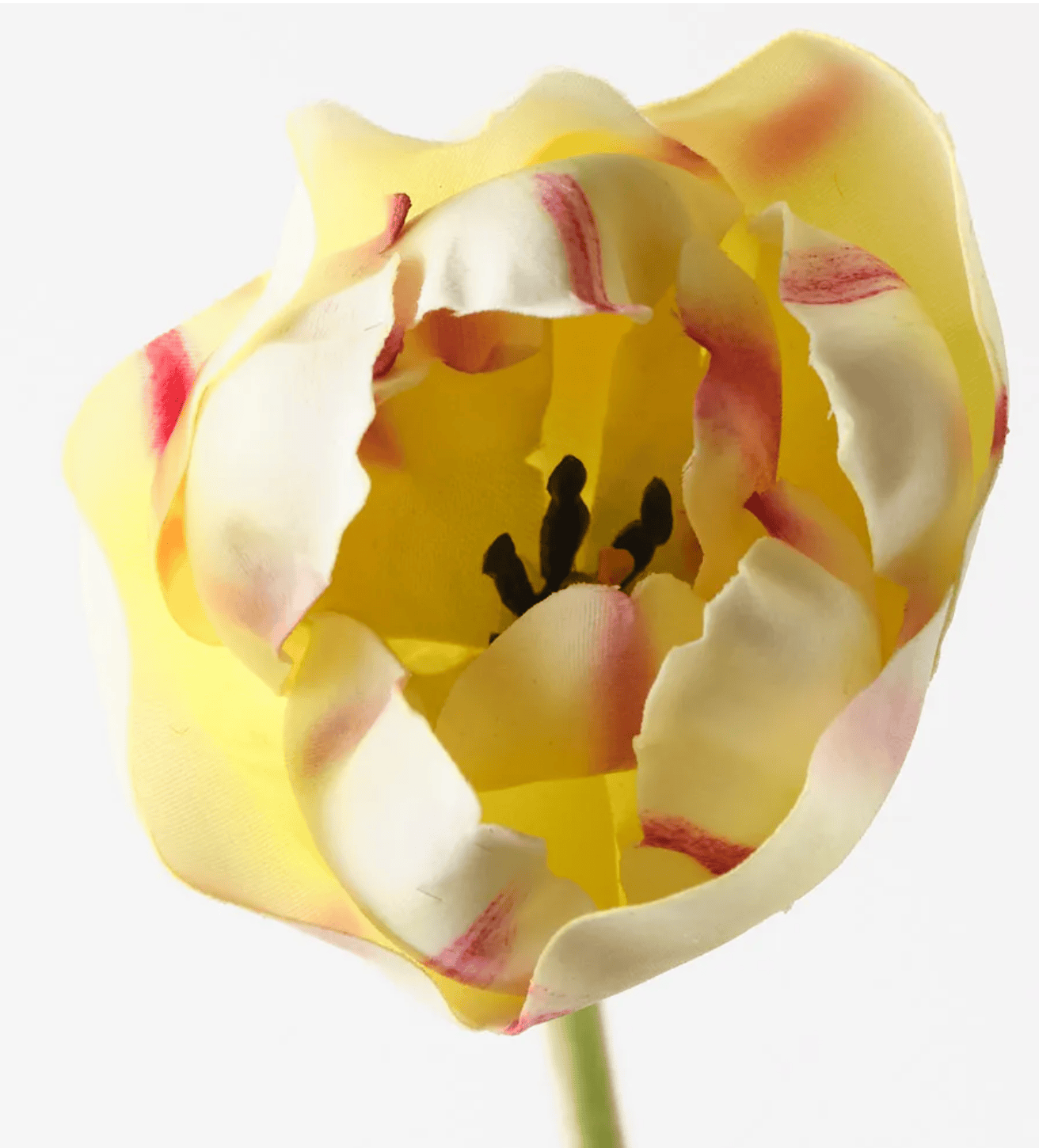 Haven & Space Berry ARTIFICAL FLOWERS 70cm / Light Green Tulip