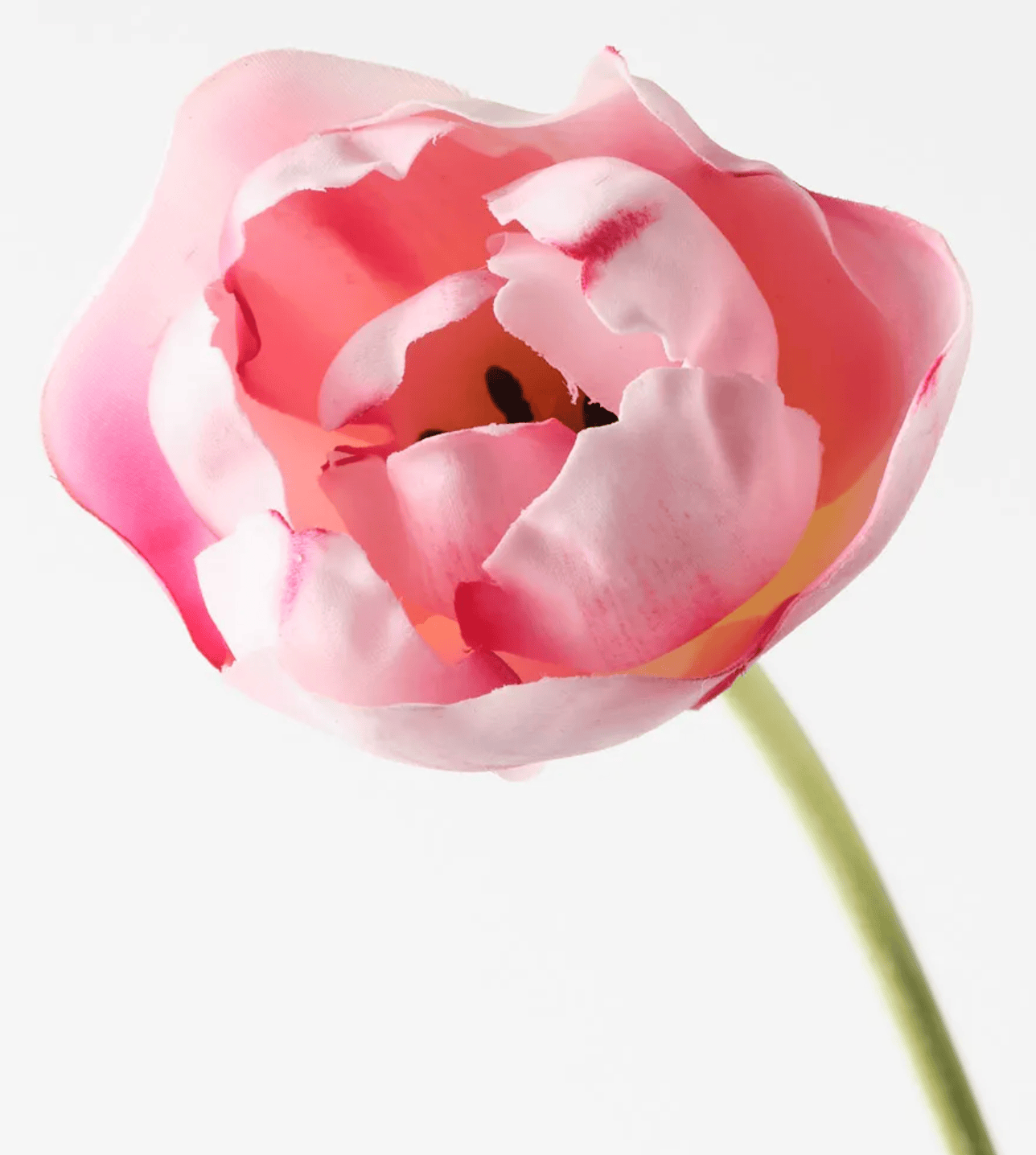 Haven & Space Berry ARTIFICAL FLOWERS 70cm / Pink Tulip