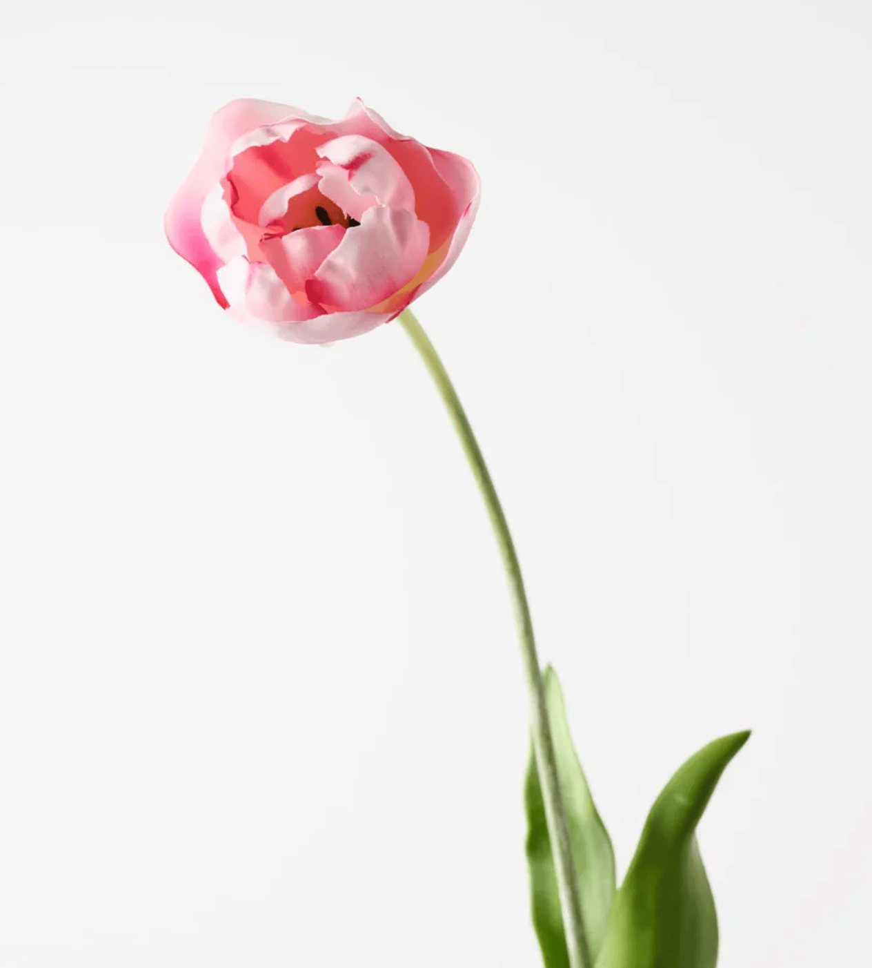 Haven & Space Berry ARTIFICAL FLOWERS 70cm / Pink Tulip