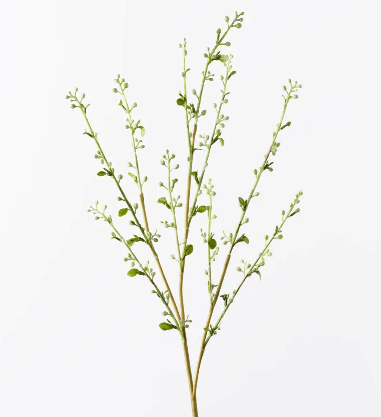Haven & Space Berry ARTIFICAL FLOWERS 72CM / White Spirea Bud Spray