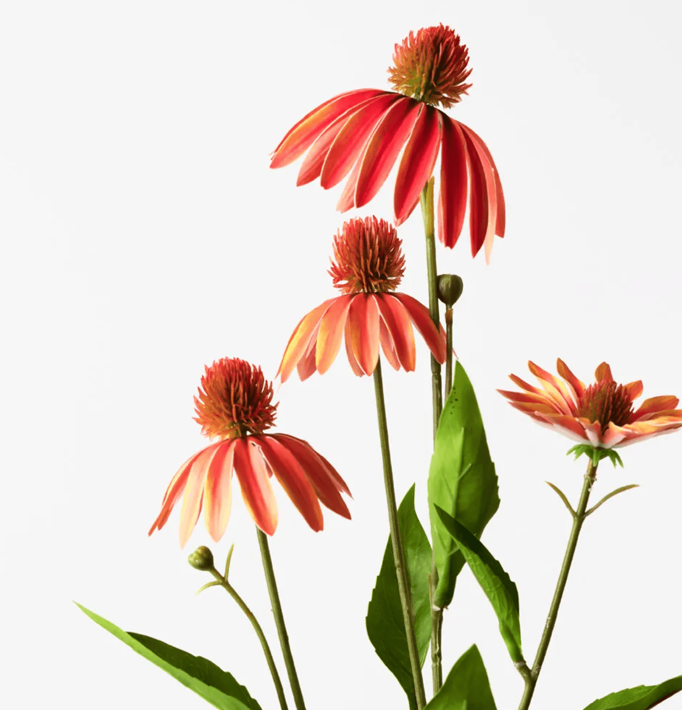 Haven & Space Berry ARTIFICAL FLOWERS 76cm Echinacea Spray