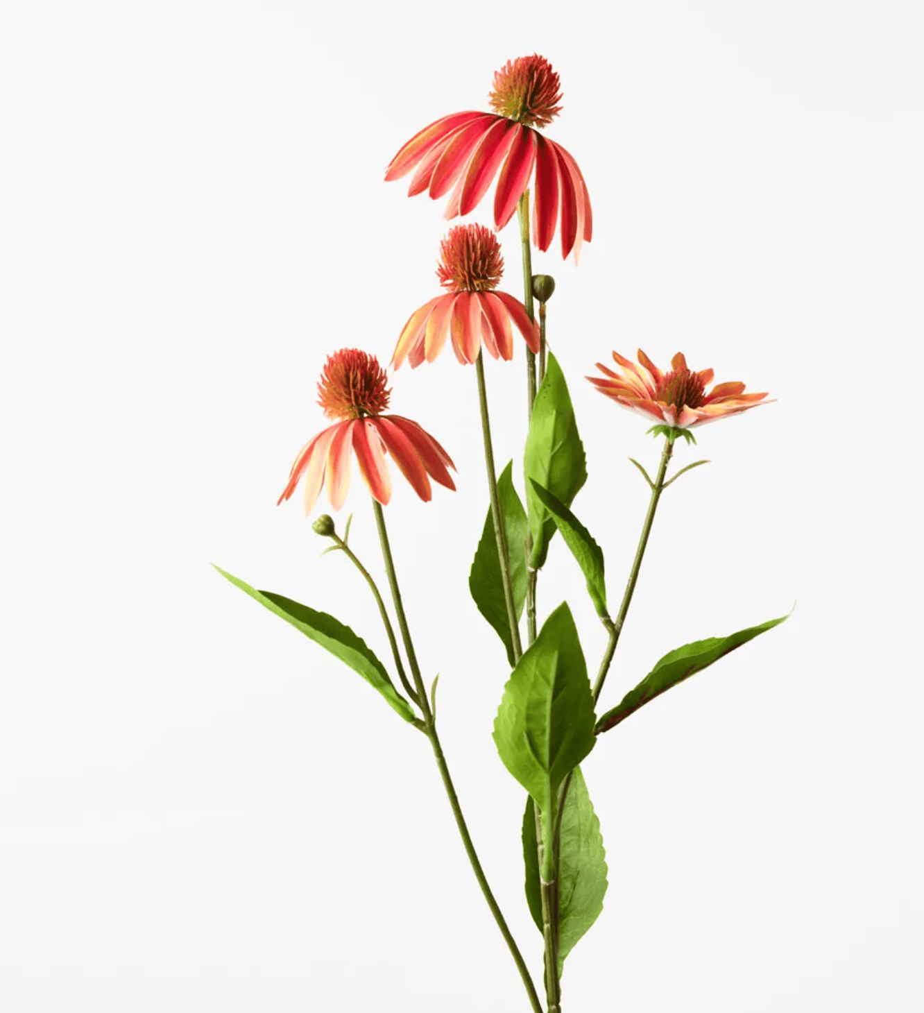 Haven & Space Berry ARTIFICAL FLOWERS 76cm Echinacea Spray