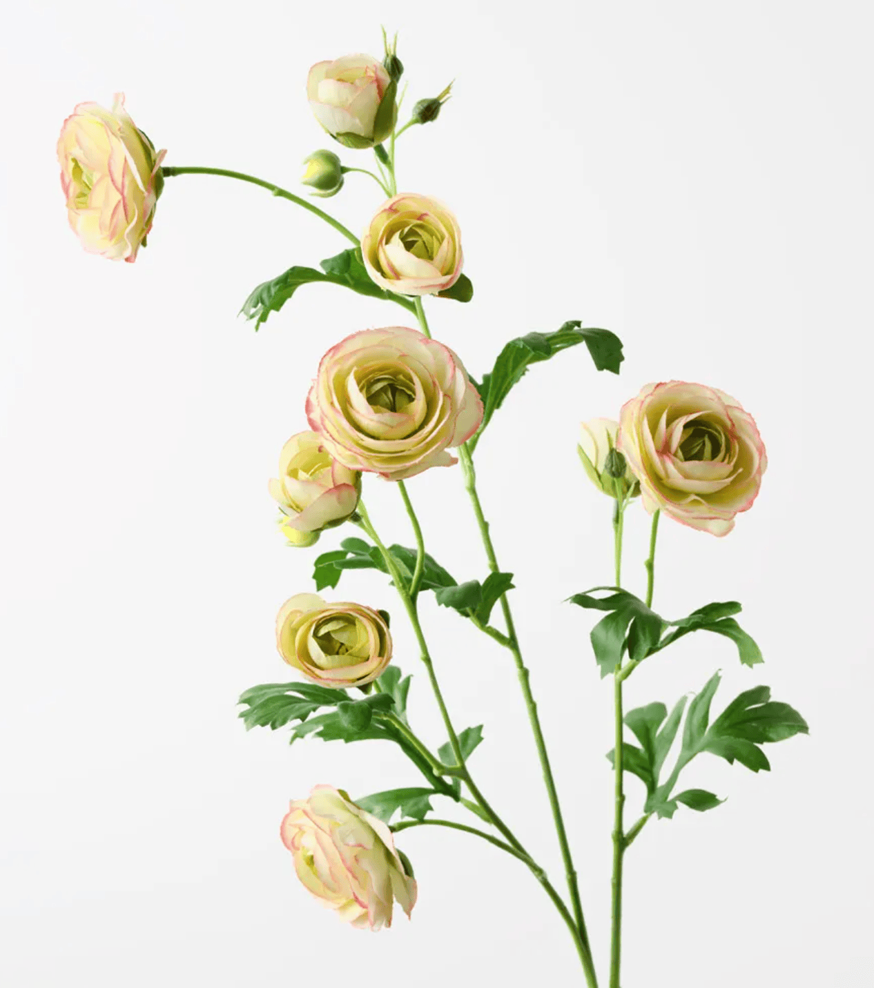Haven & Space Berry ARTIFICAL FLOWERS 78CM Ranunculus Spray