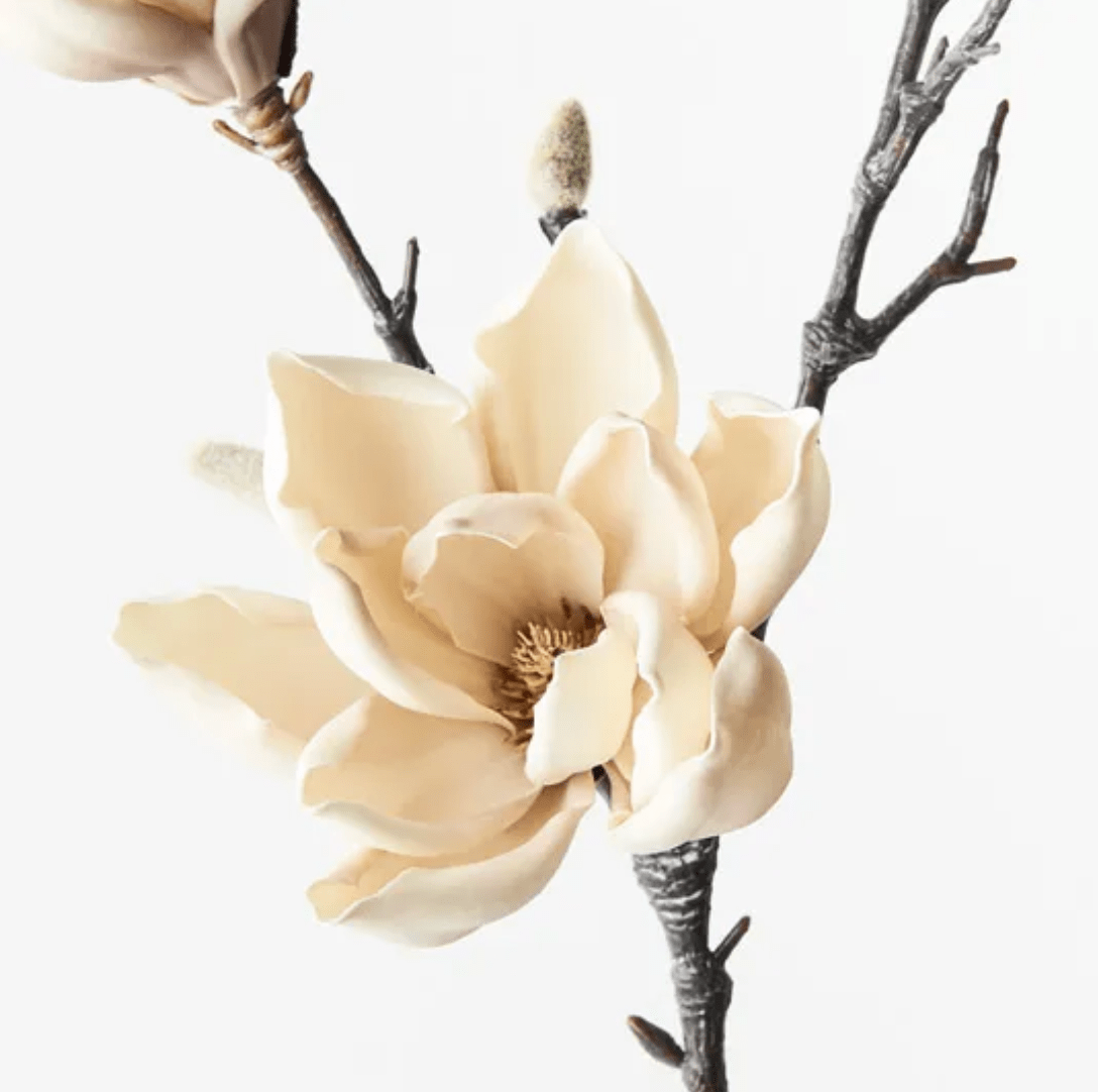 Haven & Space Berry ARTIFICAL FLOWERS 80CM / Cream Magnolia Japanese Spray
