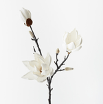 Haven & Space Berry ARTIFICAL FLOWERS 80CM / Cream Magnolia Japanese Spray
