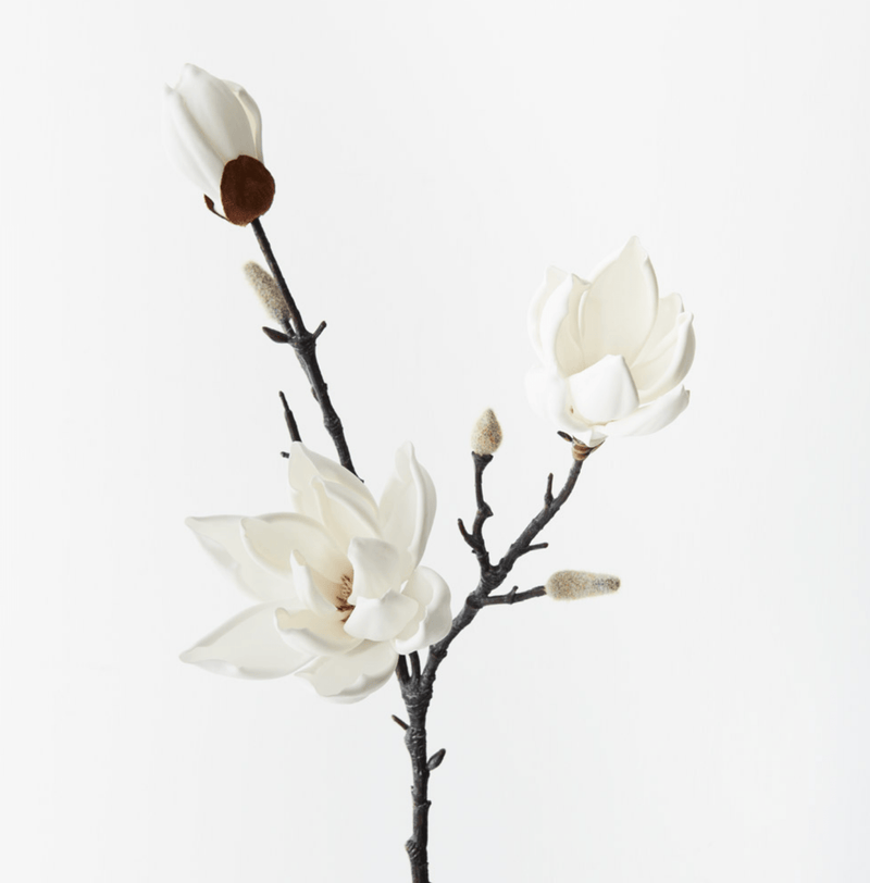 Haven & Space Berry ARTIFICAL FLOWERS 80CM / Cream Magnolia Japanese Spray